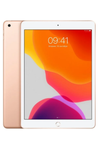 Apple iPad